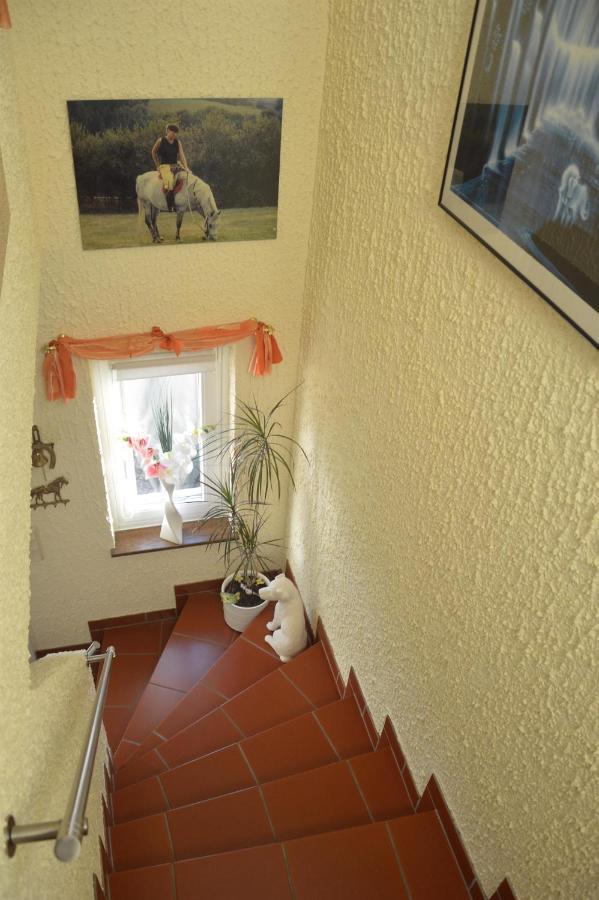 Ferienwohnung Auszeit Waxweiler المظهر الخارجي الصورة